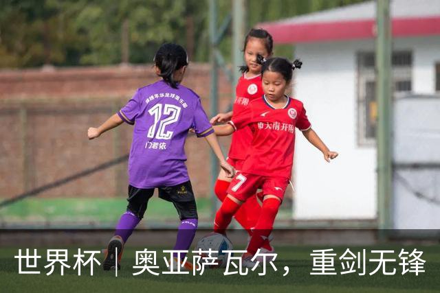 世界杯｜奥亚萨瓦尔，重剑无锋